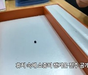 키조개 손질하다 흑진주 찾은 유튜버…감정가는?