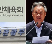 '3선 도전' 이기흥 겨냥?…"셀프 연임 심의 안 돼"