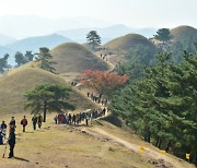 대가야의 도읍지 고령에서 ‘세계유산축전’ 즐기세요