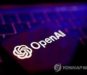 "오픈AI, 2주내 '추론 능력 향상' AI 모델 스트로베리 출시"