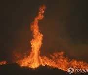 높게 솟구치는 미 캘리포니아 산불