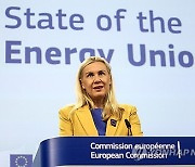 BELGIUM EU ENERGY REPORT