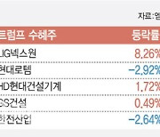 트럼프VS해리스 난타전…韓투심은 ‘해리스 트레이드’에 베팅