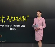 [뉴스NIGHT]"악, 징그러워" 수천 마리 잠자리떼의 공습...이유는?