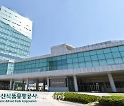 aT, 농산물 공영도매시장 거래정보 전면 개방