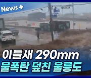 [뉴스+] "아이고, 어떡하노 저거"···이틀 새 290mm 물 폭탄 덮친 울릉도