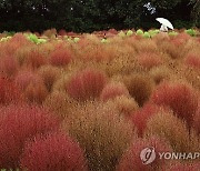 [날씨] 서울 등 전국 곳곳 비 소식…충청·남부 중심 무더위