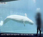 잇단 폐사 ‘돌고래 무덤’ 거제씨월드 폐쇄 논란