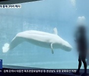 잇단 폐사 ‘돌고래 무덤’ 거제씨월드 폐쇄 논란