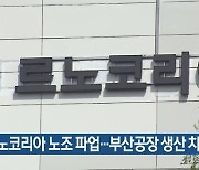 르노코리아 노조 파업…부산공장 생산 차질