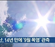 울산, 14년 만에 ‘9월 폭염’ 관측