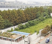 [단독] "금리인하 전 유망부지 확보"…부실 PF에 '뉴 머니' 몰려든다