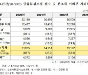 “금감원, 분쟁조정 신청 10건 중 6건 ‘기각·각하’”