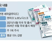 꿈의 비만 치료제 '위고비' 10월 한국 상륙