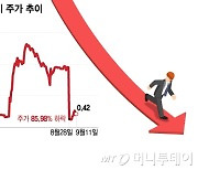 호재도 없이 700% 뛰더니 85% '뚝' 홍콩 동전주…한국 개미가 '줍줍'