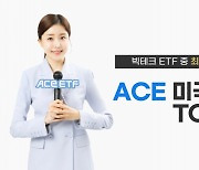 ACE 미국빅테크TOP7 Plus ETF, 빅테크 ETF 중 수익률 1위