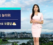 [날씨] 경기·강원 북부 강한 비…대구·광주 34도 무더위