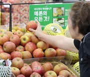 "서울 사과·바나나, 전세계서 가장 비싸"···감자·토마토, 아시아서 제일 비싸