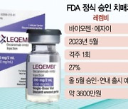 시장성 높은 치매치료제···잇단 난관에도 포기 못하는 제약업계