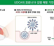 대웅제약 "우루사 주성분 코로나19 예방 효과…국제학술지 게재"