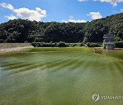 낙동강 녹조 감소세…'경계' 경보 지역도 남조류 줄어