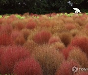 [날씨] 충청·남부 중심 무더위…전국 곳곳 비 소식