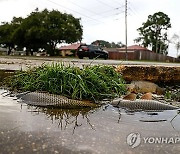 USA LOUISIANA HURRICAN AFTERMATH