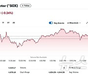 엔비디아 2% 상승에도 반도체지수 0.24% 하락(종합)