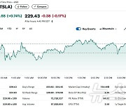 스페이스X 우주 유영 성공, 테슬라 0.74% 상승