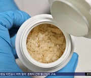 '대학가 마약 제조'‥외국인 조직 무더기 적발