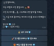 "30초면 음란 마법 펼쳐진다"…딥페이크봇 수천개 활개