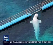 잇단 폐사 ‘돌고래 무덤’ 거제씨월드 폐쇄 논란