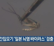 빨간집모기 ‘일본 뇌염 바이러스’ 검출