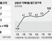 신한은행도 분양주택 전세대출 막는다