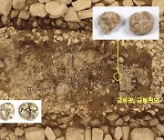금장신구 나온 무덤 주인은 10대 소녀…3살 아이도 묻혔다