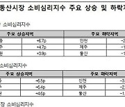 대출 조이기 효과 벌써？…서울 주택매매심리 '주춤'