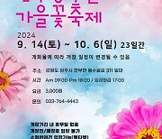 “원주 용수골로 가을꽃 보러 오세요”···14일부터 3주간 축제