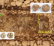 세살 아이도 순장 흔적···신라 고분의 주인은 ‘10대 소녀’