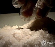 “마약 구해 클럽 가” 옆에서 우연히 듣고 신고했는데 진짜였다…20대女 체포, 보상금 200만원