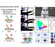 물리적 변형을 색으로 읽는 메카노크로믹 스마트 센서 개발