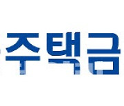 정책금융에 구멍....70대 이상에도 40년 만기 주담대 나갔다