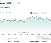 엔비디아 0.03% 하락에도 반도체지수 1.68% 상승(상보)