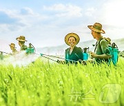 북한, 농업 분야 성과 다그치기…"논벼 비배관리 힘을 넣어야"