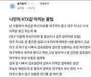 "걸렸을 때 당황한 연기 잘하면 공짜"…KTX 무임승차 꼼수 '논란'