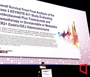 [ESMO 2024]'세계 매출 1위 藥' 키트루다, 말기 위암 환자 더 오래 살린다