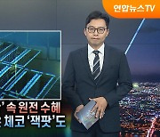 [탐사보도 뉴스프리즘] 글로벌 전력난 속 원전 수혜…K-원전 '체코 잭팟'