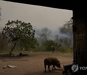 Bolivia Forest Fires