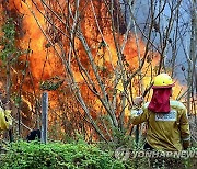 BOLIVIA FIRES