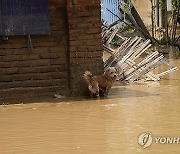 Myanmar Flood