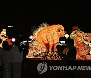 경포 등 축제 찾은 관광객들